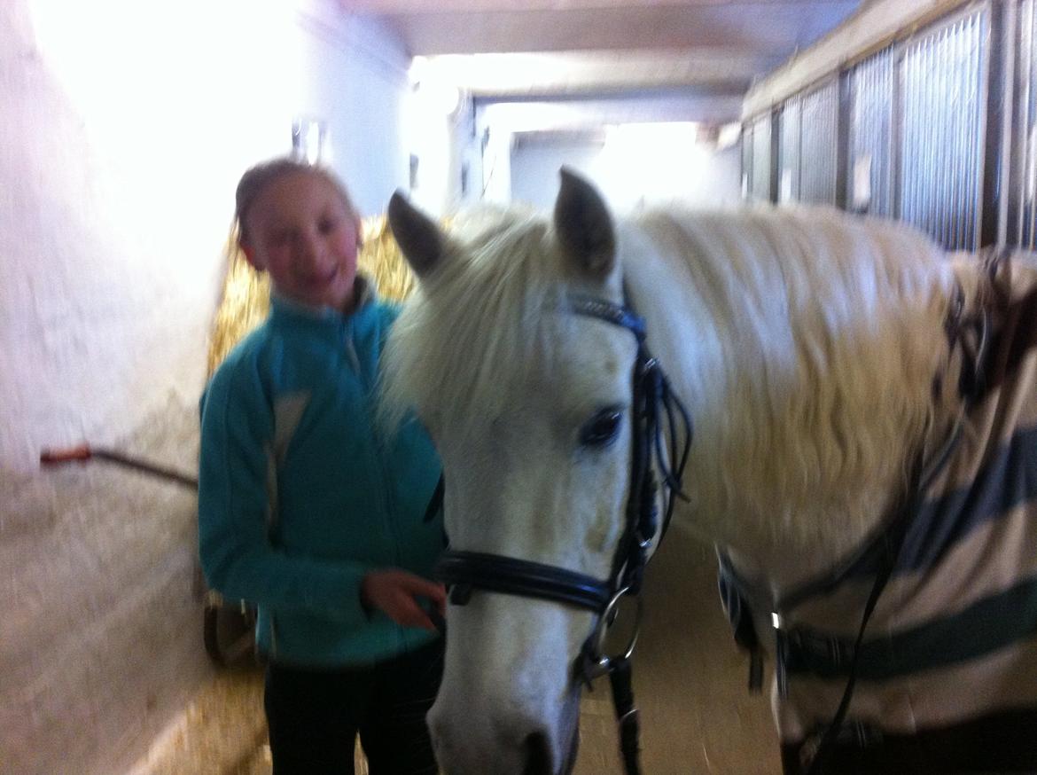 Anden særlig race Cornelius billede 17