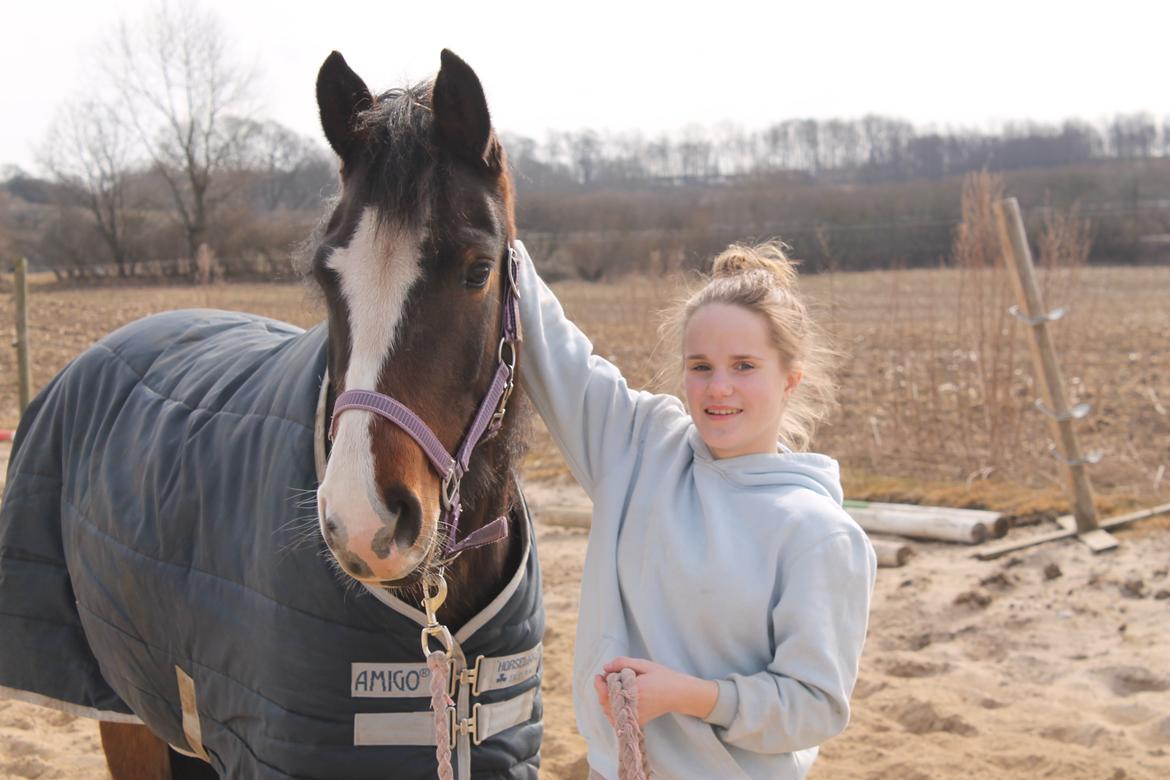 Anden særlig race Søbo's Chacor  billede 9