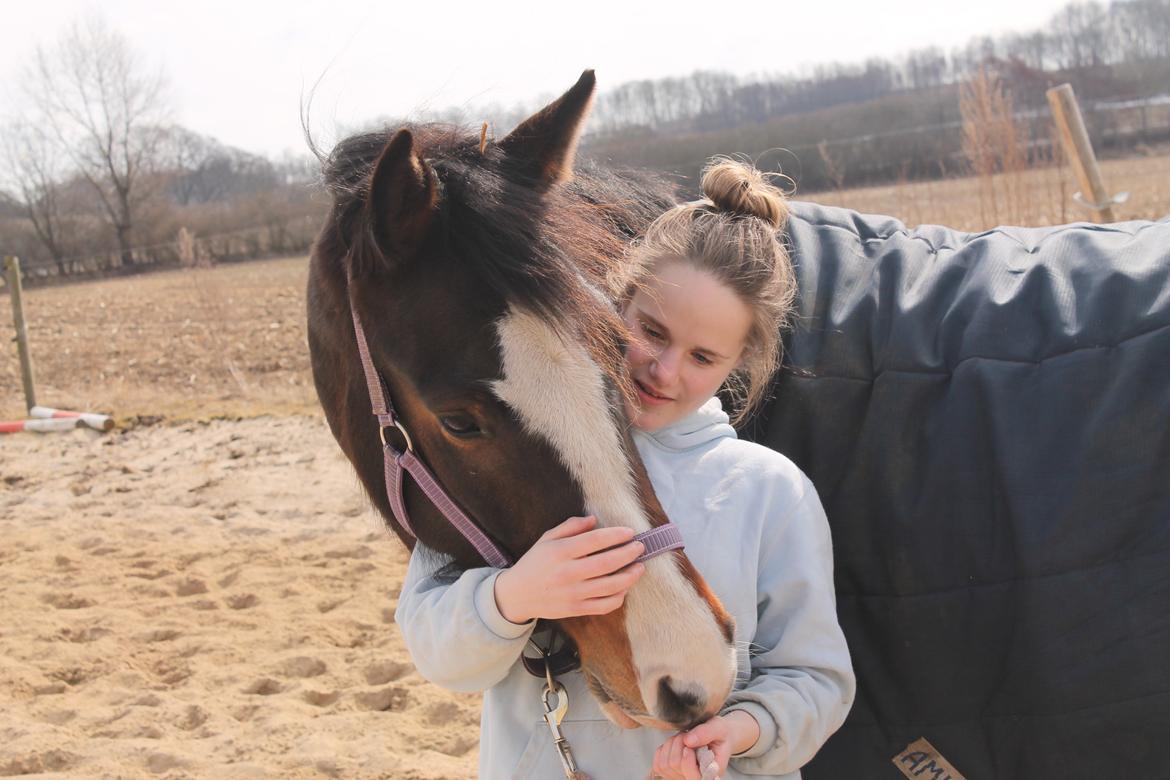 Anden særlig race Søbo's Chacor  billede 10