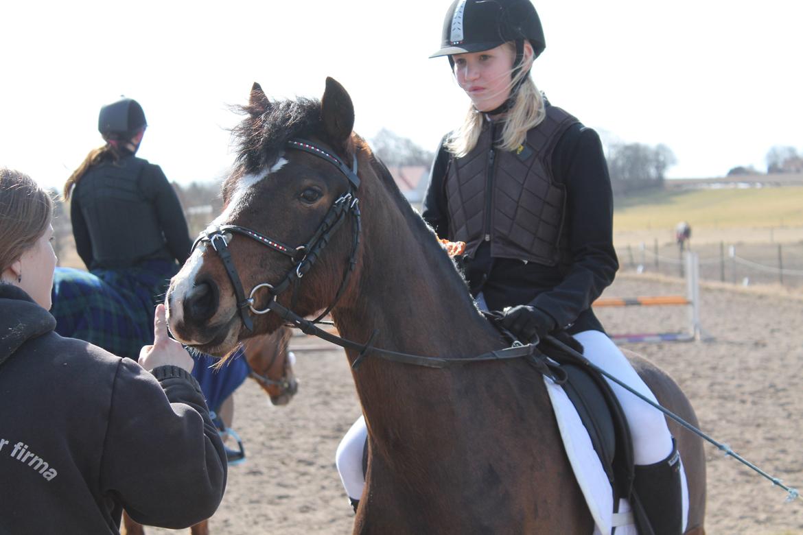 Anden særlig race Farytaile<3 billede 2