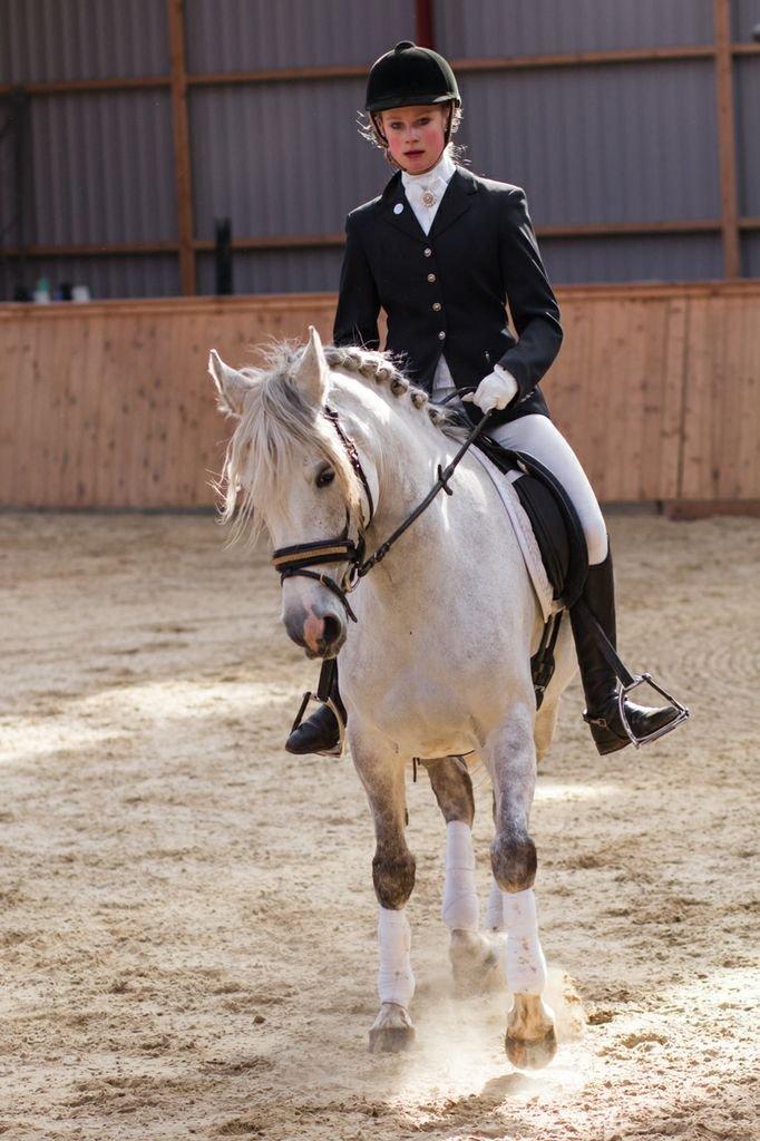 Anden særlig race Miss Perfect *solgt* billede 1