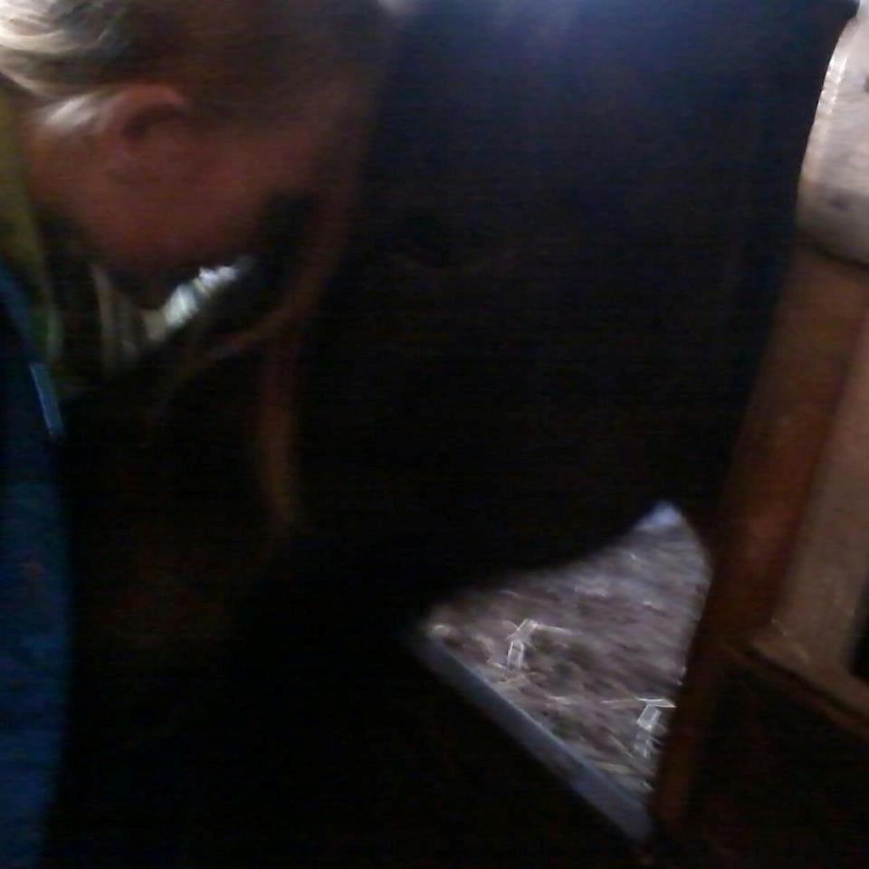 Islænder Flicka - Syg! :( Men godt at der bliver hygget om mig! :) Elsker det her billede! :) billede 10