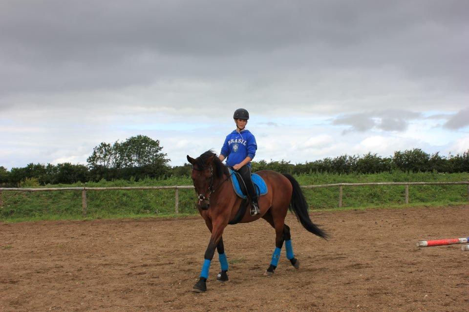 Traver Kenzo billede 3