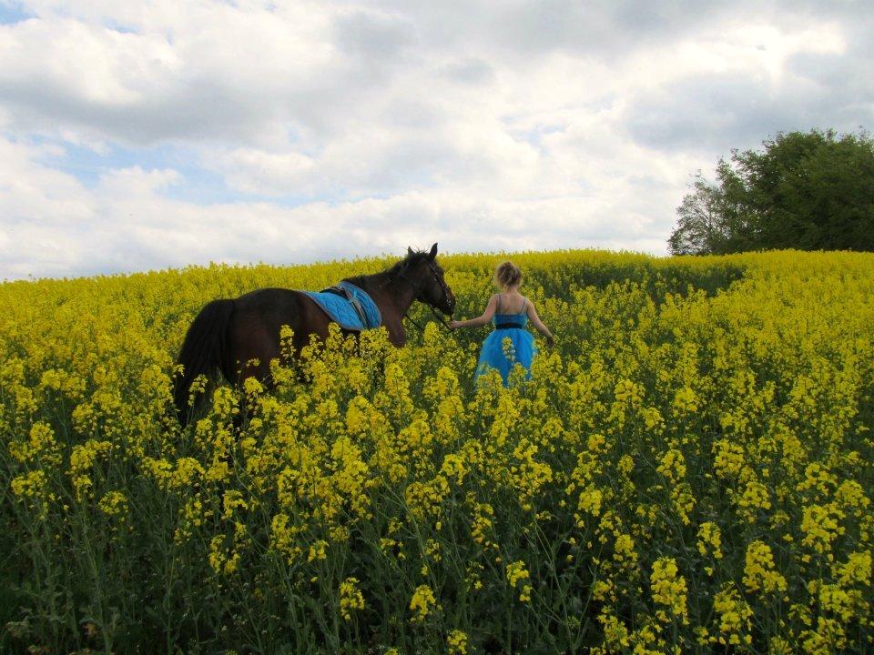 Traver Kenzo billede 4