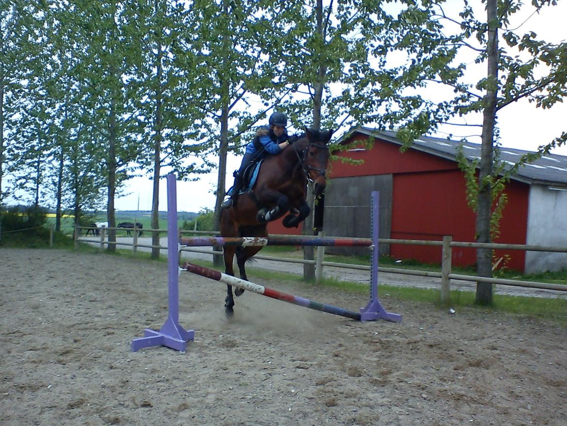 Traver Kenzo billede 5