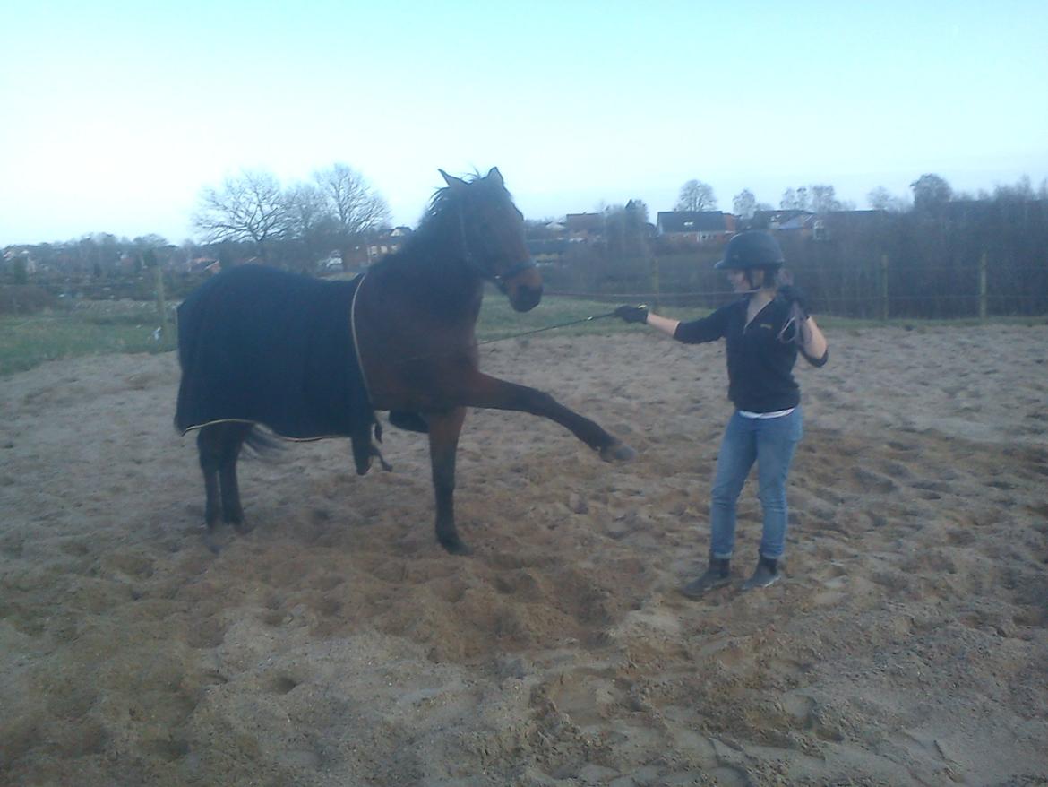 Traver Kenzo billede 7