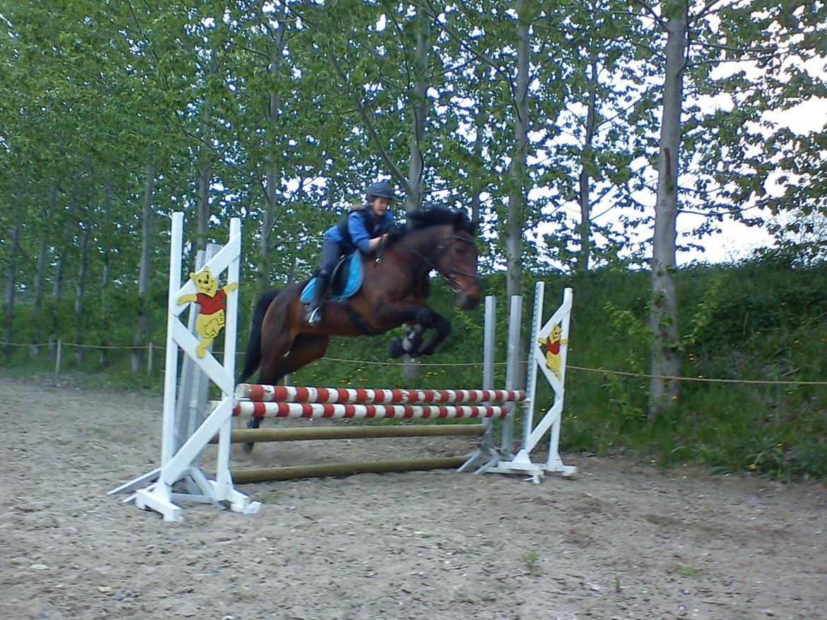 Traver Kenzo billede 8