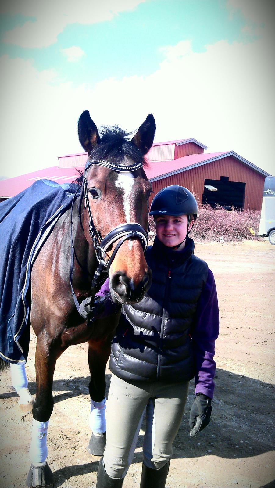 Dansk Varmblod Lindergårdens Loke - Min dejlige hest, som har fået nyt hovedtøj.. billede 1