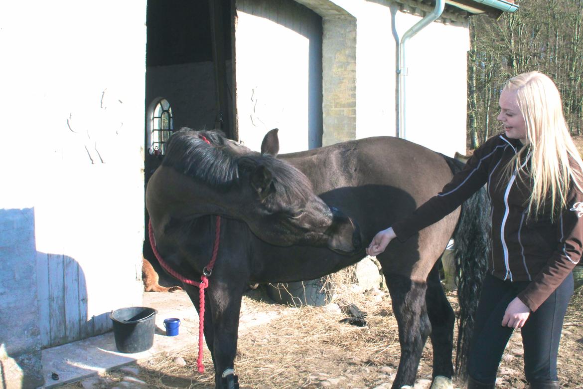 Anden særlig race Emma billede 14
