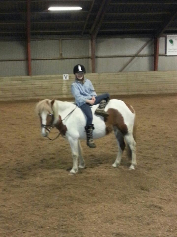 Pinto Cherry billede 5