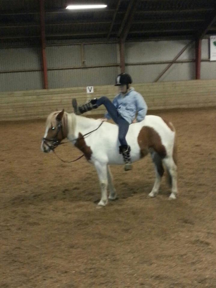 Pinto Cherry billede 6