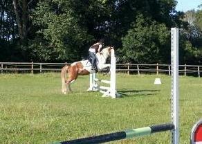 Pinto Cherry - 3. gang vi sprang.
 billede 7