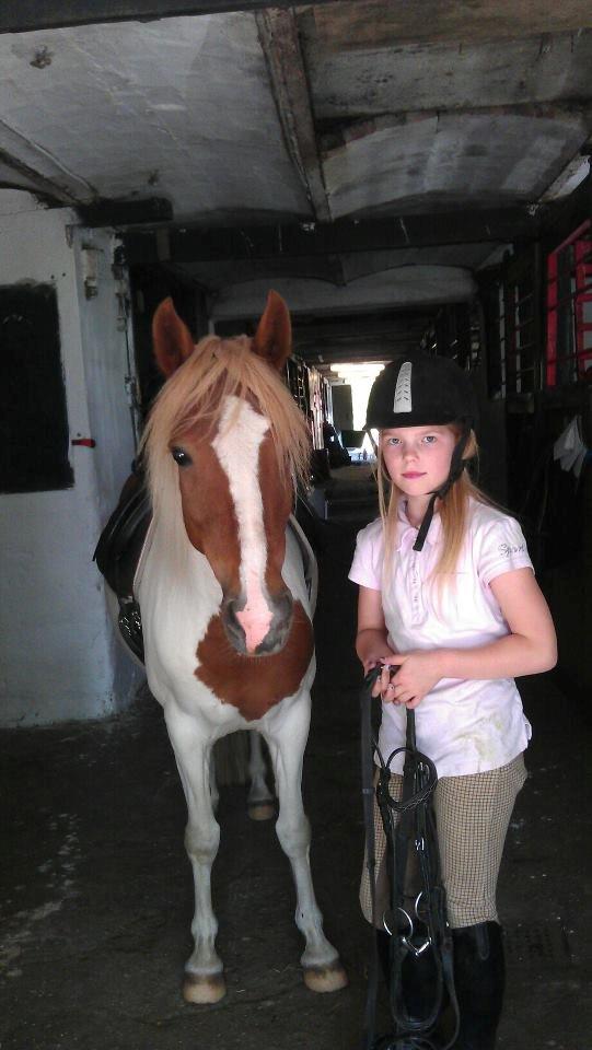 Pinto Cherry billede 8