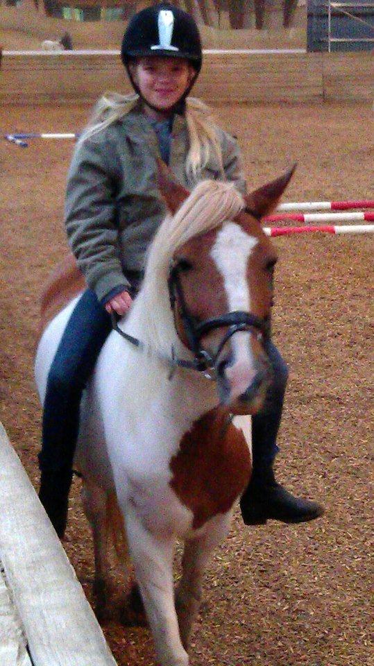 Pinto Cherry billede 9