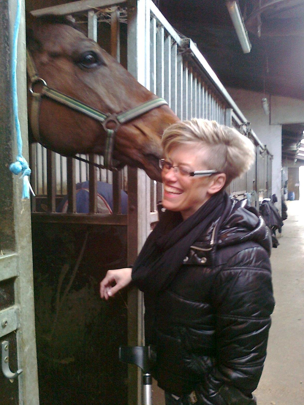 Dansk Varmblod Markgårds Donnewind - Hygge <3 - marts 2013 billede 7