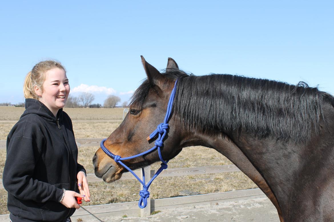 DSP Martilla (Part) - Første gang med klik træning :)
 billede 11