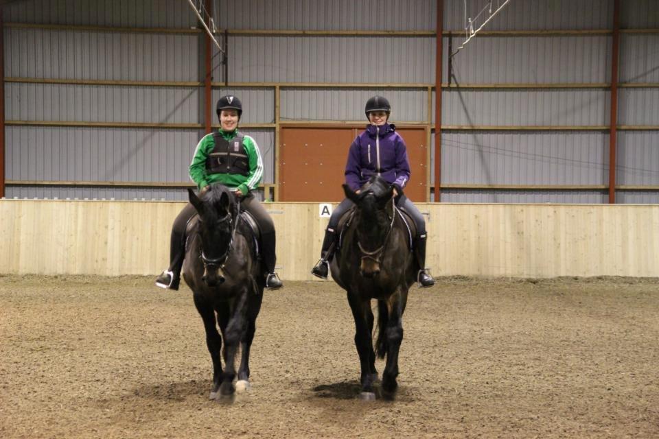 Oldenborg Zafir *Rideskole hest* - Til venstre Zafir og til højre søsteren Choko billede 5
