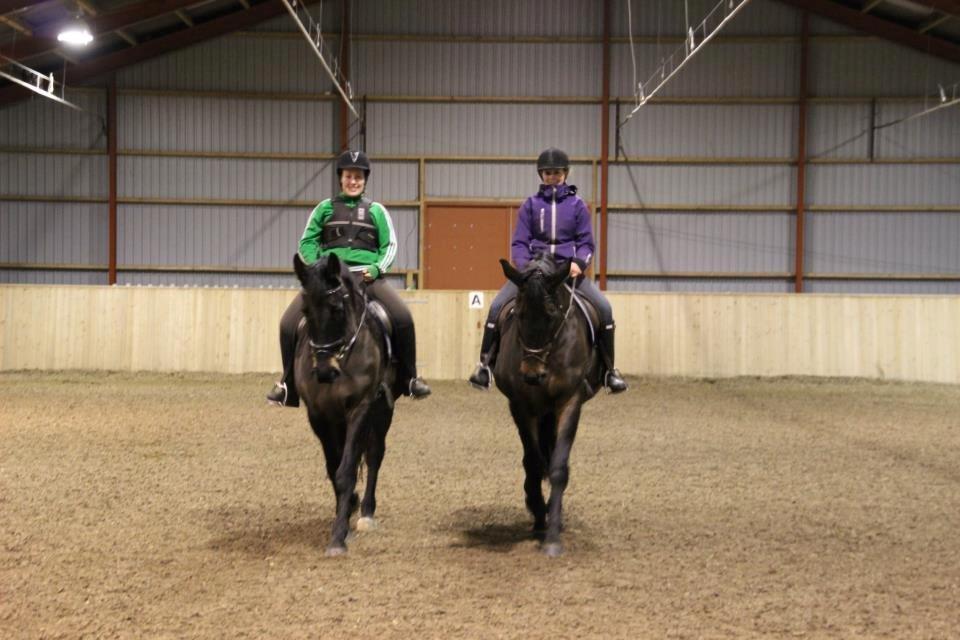 Oldenborg Choko *Rideskole hest* - Til venstre søsteren Zafir og til højre Choko billede 5