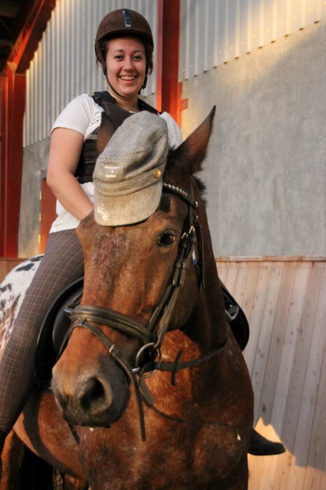 Appaloosa Rasmus *Rideskole hest* billede 3