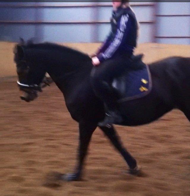 Anden særlig race Rubinja<3 billede 1