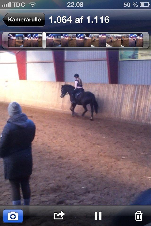 Anden særlig race Rubinja<3 billede 2