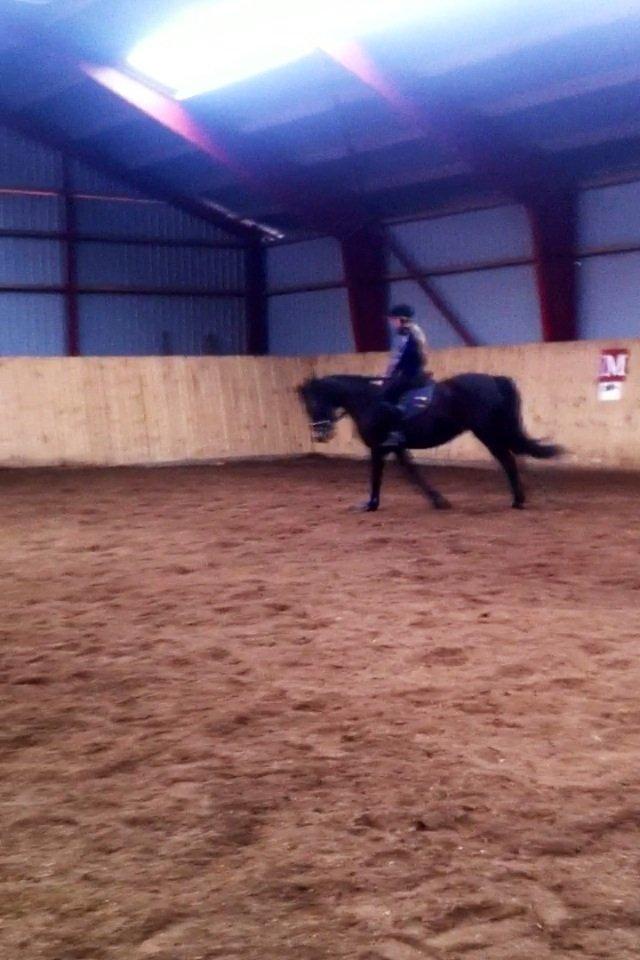 Anden særlig race Rubinja<3 billede 3