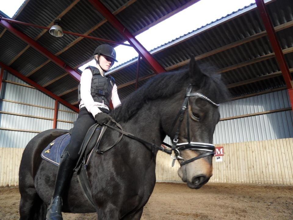 Anden særlig race Rubinja<3 billede 4