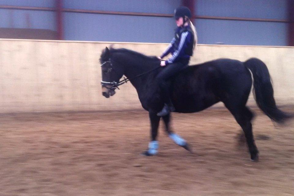 Anden særlig race Rubinja<3 billede 5