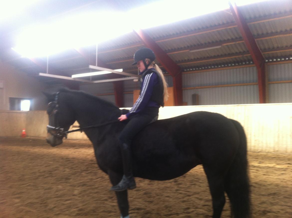 Anden særlig race Rubinja<3 billede 6