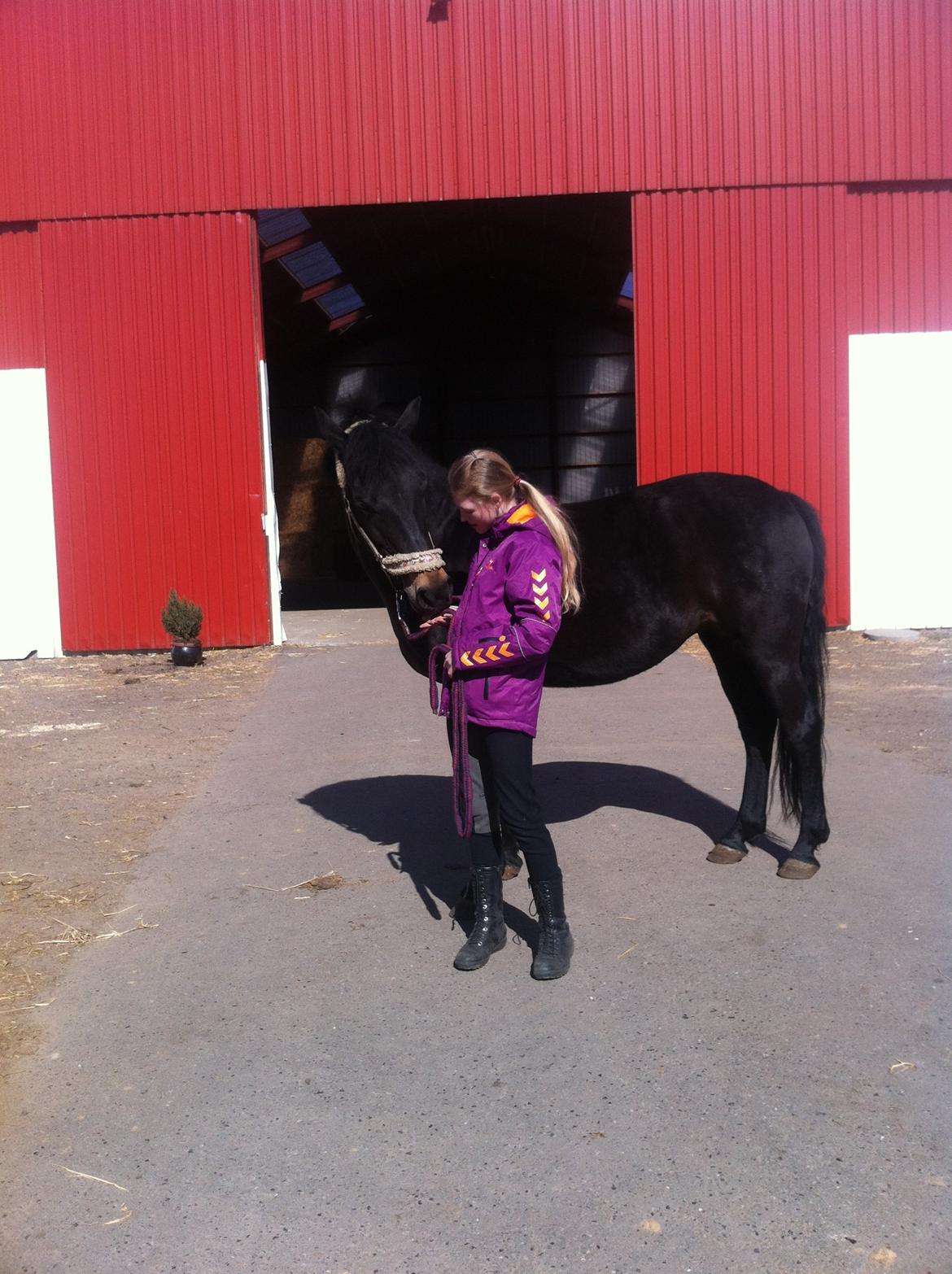 Anden særlig race Rubinja<3 billede 9