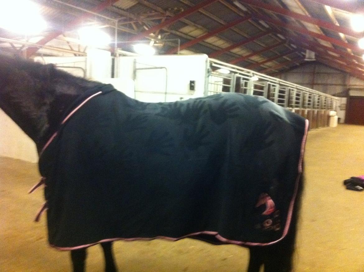 Anden særlig race Rubinja<3 billede 18