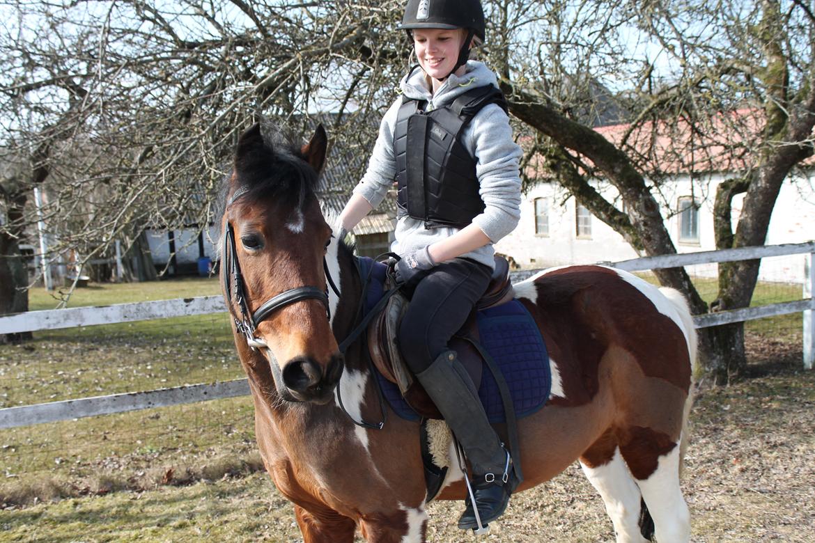 Anden særlig race Flicka [ELEVPONY] - Vores første tur sammen!
9.4.13 billede 3