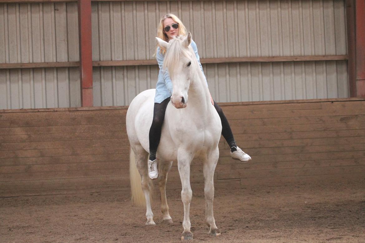 Anden særlig race Cindy - Lidt natural shit i ridehuset :-)  billede 11