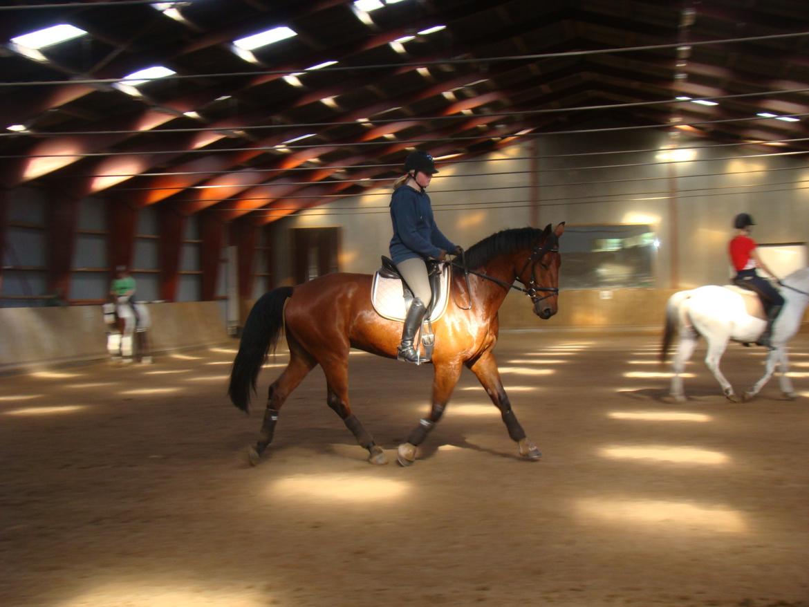 Anden særlig race Skyboy af Aalborgdal - Næsten lige fået ham:-) billede 1