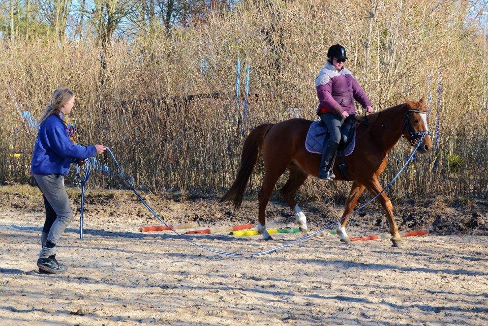 Palomino Brogaards shooting star - 6 gang i sadlen på min skønne hest :-)
Min skønne ridelære Ditte som står i den anden ende af tovet :-) billede 13