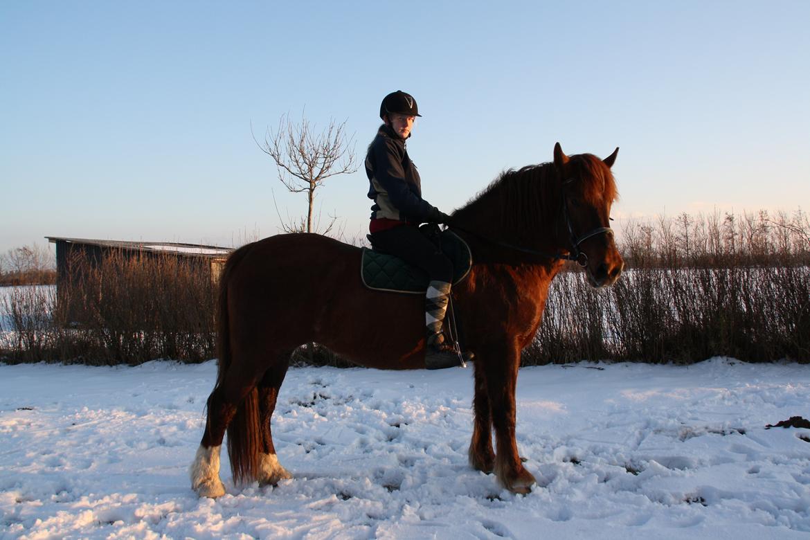 Anden særlig race Martha - <3
 billede 3