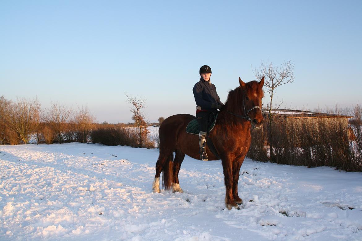 Anden særlig race Martha - så smuk hun er! :D  billede 4