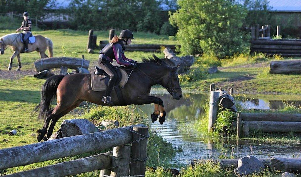 Anden særlig race Jannie<3 billede 20