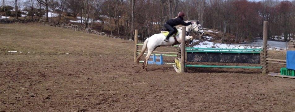 Anden særlig race Müseli<3 ( bornholms og klub mester ) billede 16