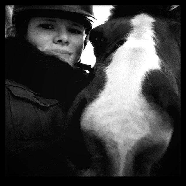 Anden særlig race Duchess billede 18