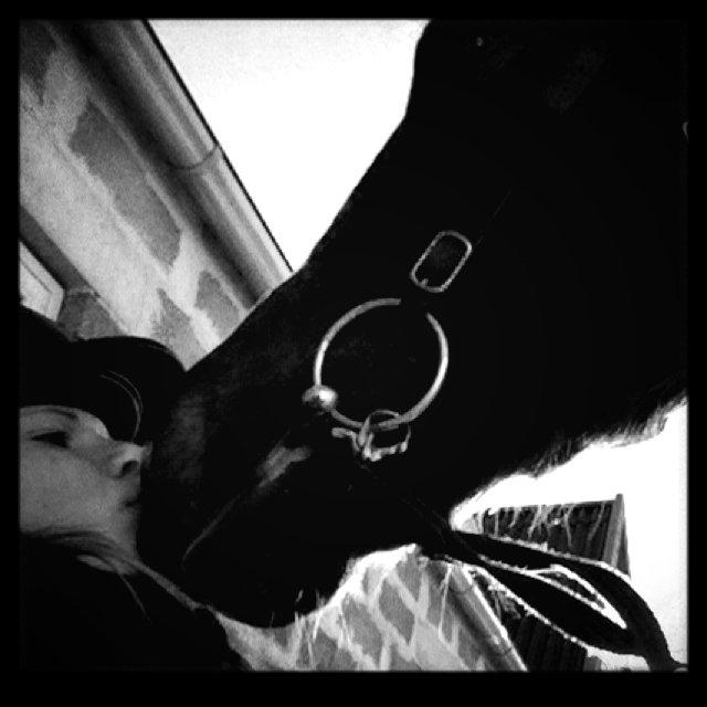 Anden særlig race Duchess billede 19