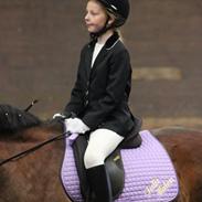 Anden særlig race Chenie [Rider ikke mere]