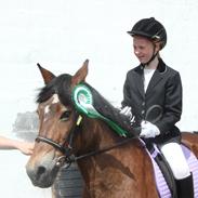 Anden særlig race Chenie [Rider ikke mere]