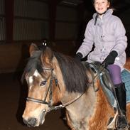 Anden særlig race Chenie [Rider ikke mere]