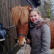 Islænder Siggi fra klegod