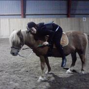 Anden særlig race Felix (Prins Felix)