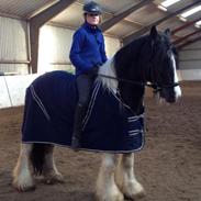 Tinker Trold (rideskolehest) <3