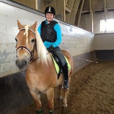 Haflinger Simba (Laffe)