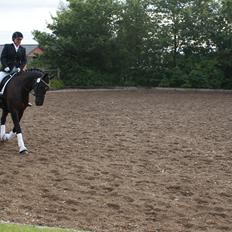 Frederiksborg Burgdorff Uma Rexetta