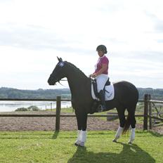 Frederiksborg Burgdorff Uma Rexetta